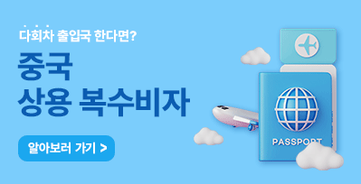 상용 복수비자 정리글